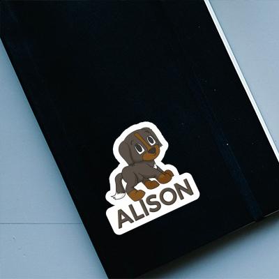 Alison Sticker Bernese Dog Gift package Image