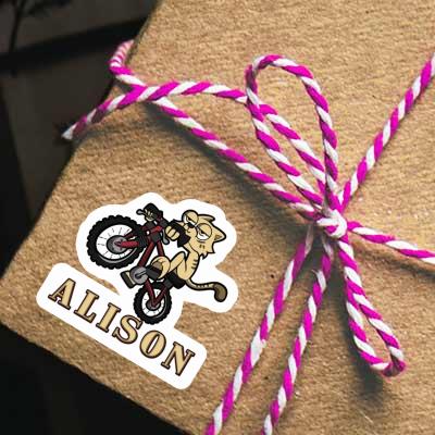 Sticker Bike Cat Alison Laptop Image