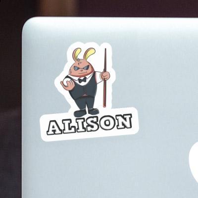 Alison Sticker Billardspieler Gift package Image