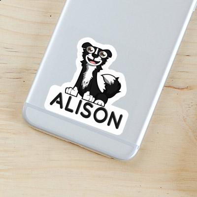 Alison Sticker Border Collie Gift package Image