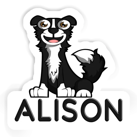 Border Collie Autocollant Alison Gift package Image