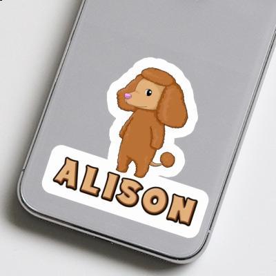 Poodle Sticker Alison Gift package Image