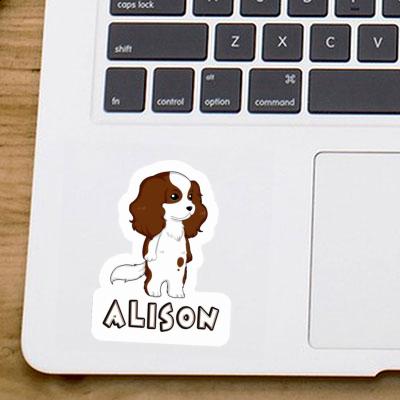 Autocollant Cavalier King Charles Spaniel Alison Gift package Image