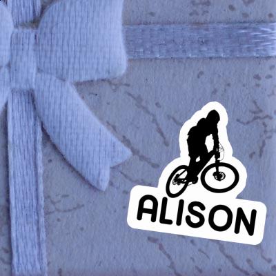 Alison Sticker Downhiller Gift package Image