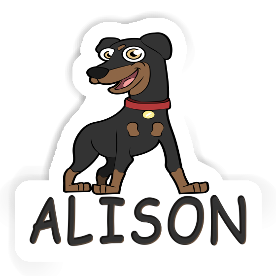 Alison Sticker Pinscher Image