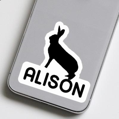 Autocollant Lapin Alison Gift package Image