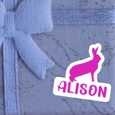 Autocollant Lapin Alison Gift package Image