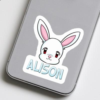 Alison Autocollant Lapin Gift package Image