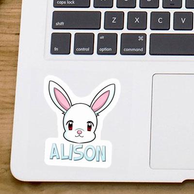 Alison Autocollant Lapin Gift package Image