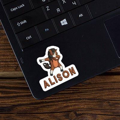 Sticker Alison Pferd Laptop Image