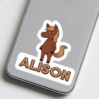 Sticker Horse Alison Gift package Image