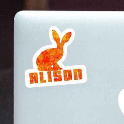 Alison Sticker Rabbit Gift package Image