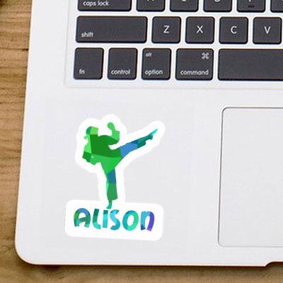 Karateka Sticker Alison Gift package Image