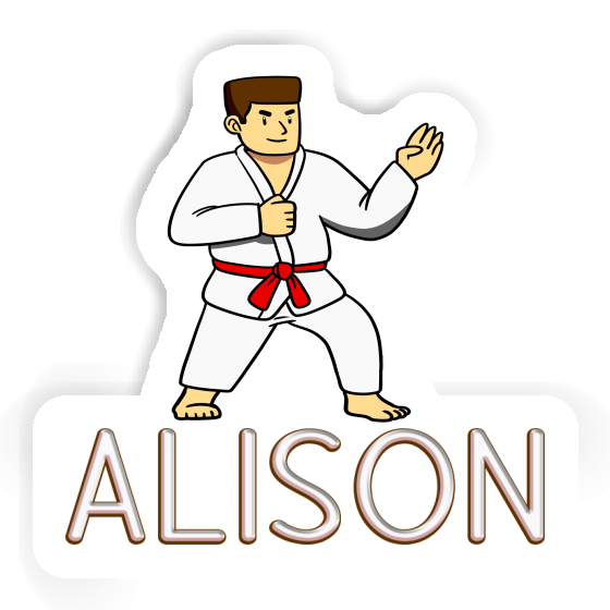 Alison Sticker Karateka Gift package Image