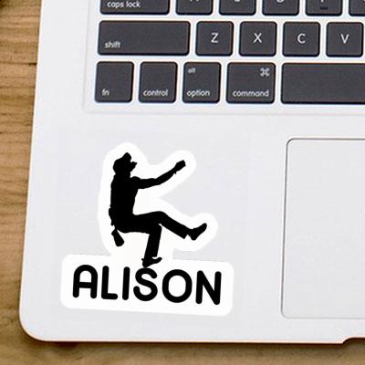 Alison Sticker Climber Gift package Image