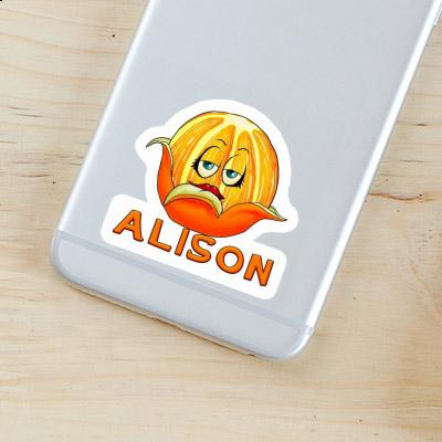 Sticker Orange Alison Gift package Image