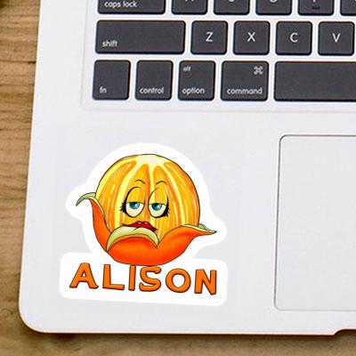 Alison Sticker Orange Gift package Image