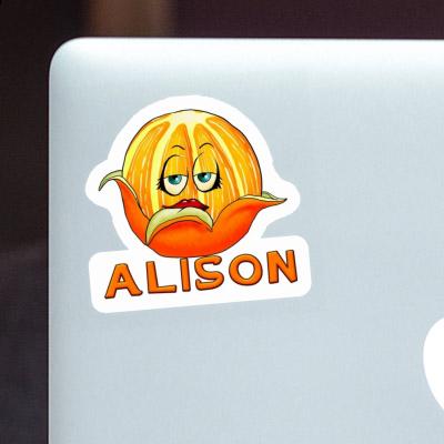 Alison Sticker Orange Image