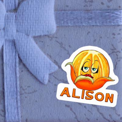 Alison Sticker Orange Gift package Image