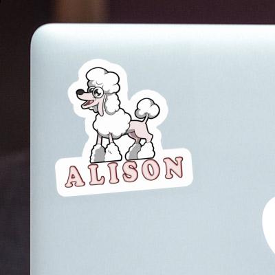 Poodle Sticker Alison Gift package Image