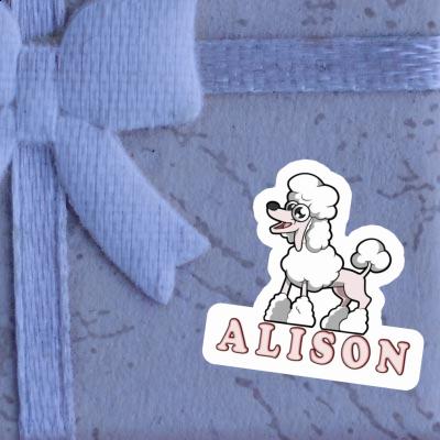 Alison Aufkleber Pudel Gift package Image