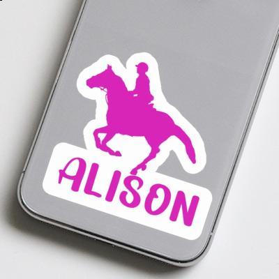 Alison Sticker Horse Rider Gift package Image