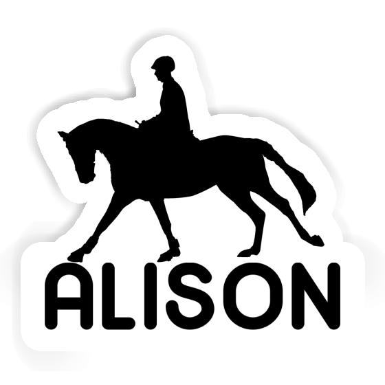 Alison Sticker Horse Rider Notebook Image