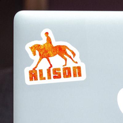 Horse Rider Sticker Alison Image