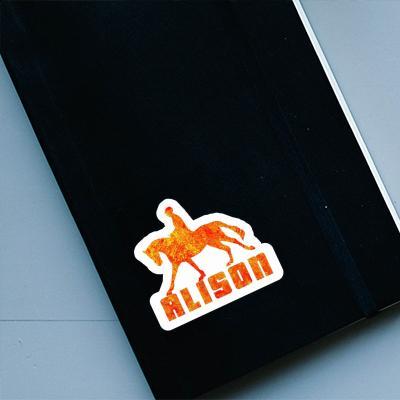 Horse Rider Sticker Alison Gift package Image