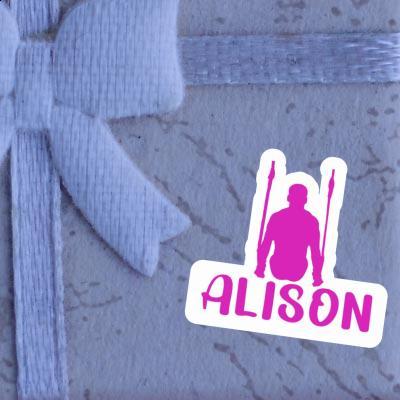 Alison Sticker Ring gymnast Image