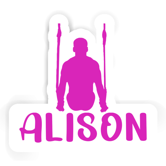 Alison Sticker Ring gymnast Gift package Image