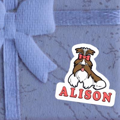 Autocollant Alison Shih Tzu Gift package Image