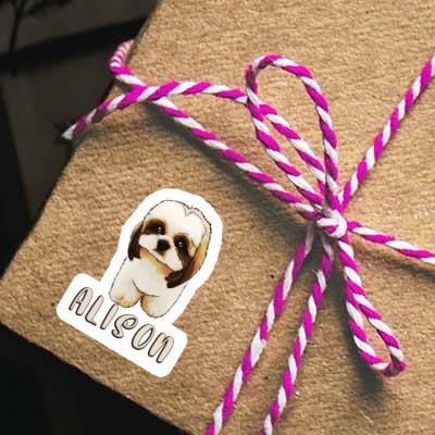 Sticker Shih Tzu Alison Gift package Image