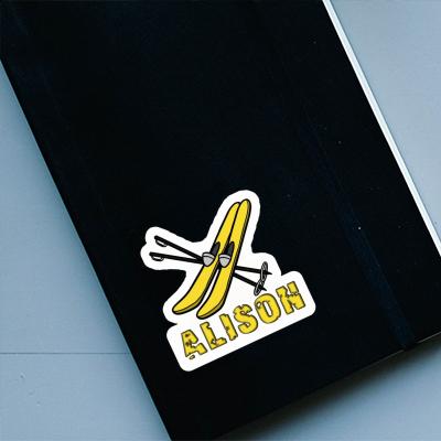 Ski Sticker Alison Notebook Image