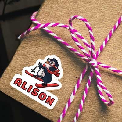 Alison Sticker Skier Gift package Image