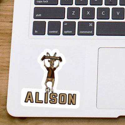 Capricorn Sticker Alison Gift package Image