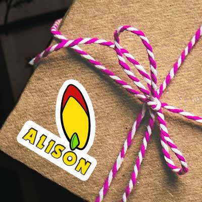 Alison Sticker Surfboard Gift package Image