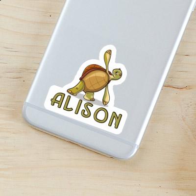 Alison Sticker Turtle Gift package Image