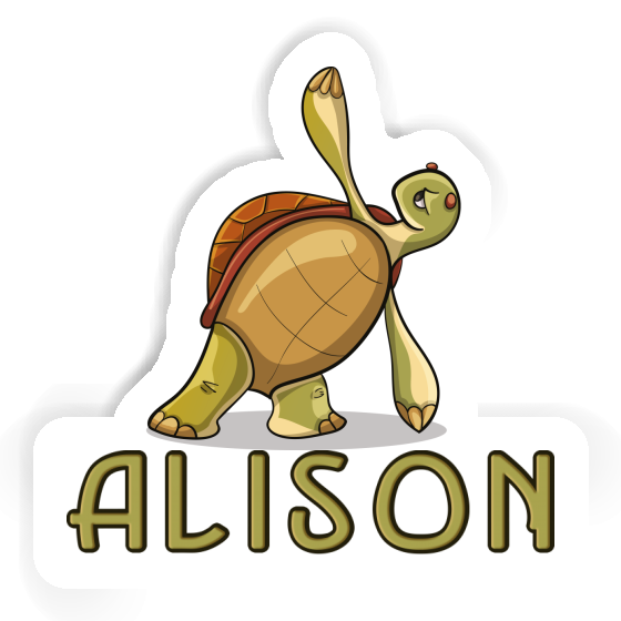 Alison Sticker Turtle Gift package Image