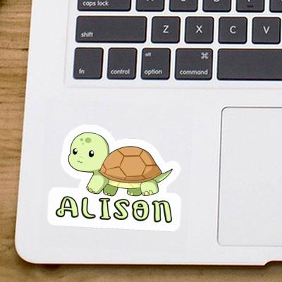 Alison Autocollant Tortue Laptop Image