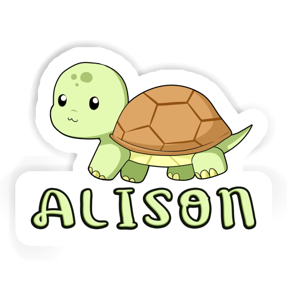 Alison Autocollant Tortue Gift package Image