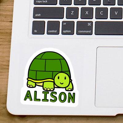 Turtle Sticker Alison Image