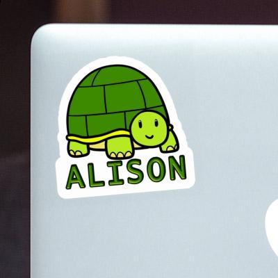 Turtle Sticker Alison Gift package Image