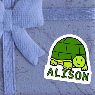 Turtle Sticker Alison Laptop Image