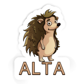 Sticker Alta Hedgehog Image