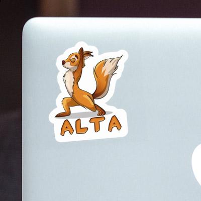 Yoga Squirrel Sticker Alta Yoga Squirrel Sticker Alta Image