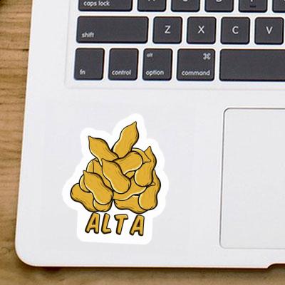 Autocollant Alta Noix Notebook Autocollant Alta Noix Gift package Image