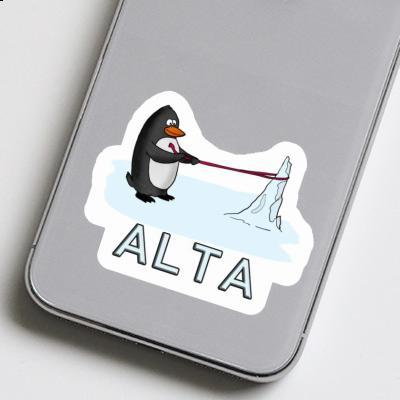 Aufkleber Alta Pinguin Notebook Aufkleber Alta Pinguin Gift package Image