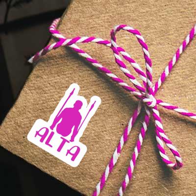 Sticker Ringturnerin Alta Notebook Sticker Ringturnerin Alta Gift package Image