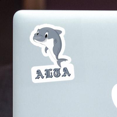 Sticker Alta Shark Notebook Sticker Alta Shark Gift package Image